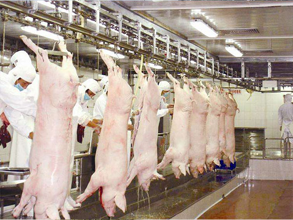 牲畜屠宰污水處理